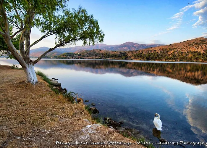 Faidra Superb Sea View In Argostoli (Kefalonia)